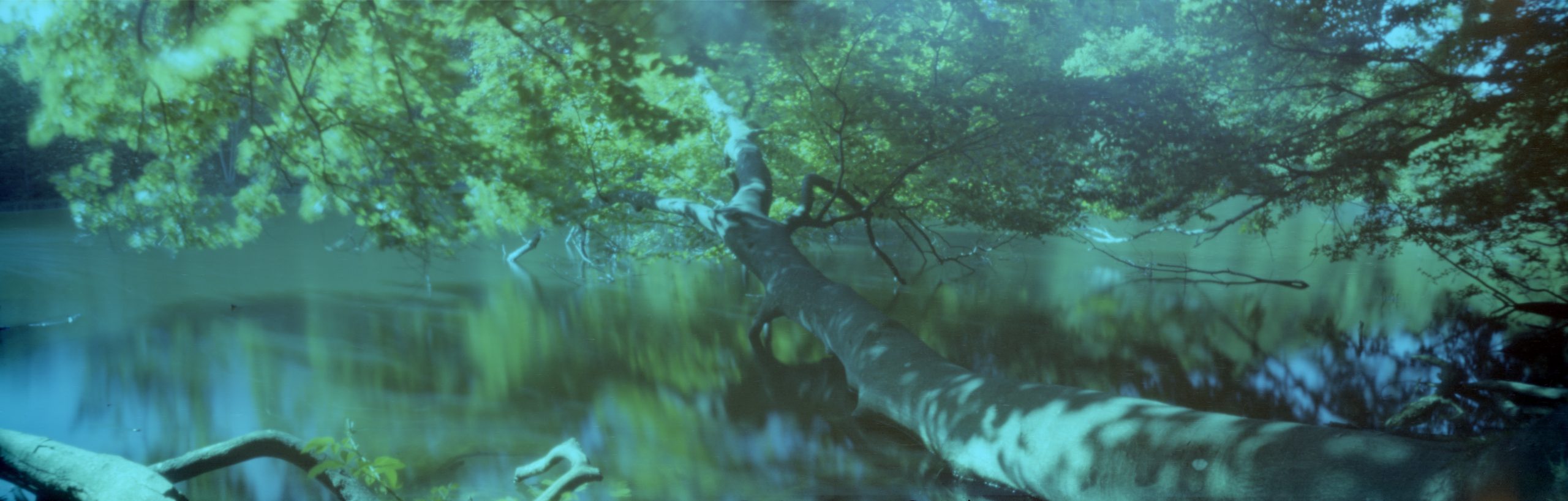 Bo Belvedere tar bilder med hemmagjorda kameror. 