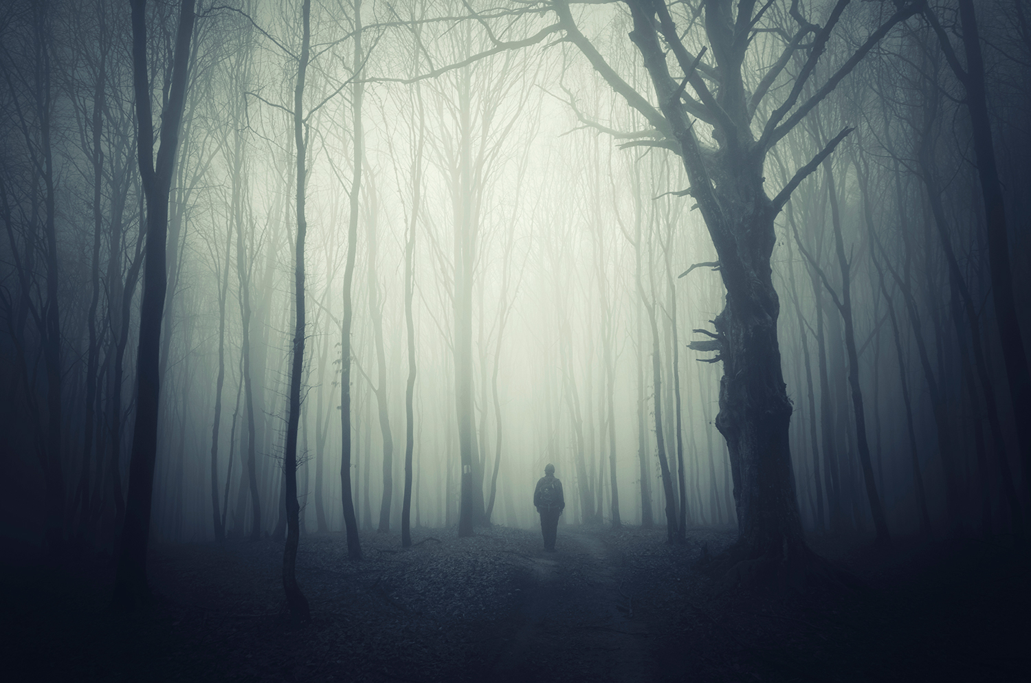 Man går ensam i otäck, dimmig skog