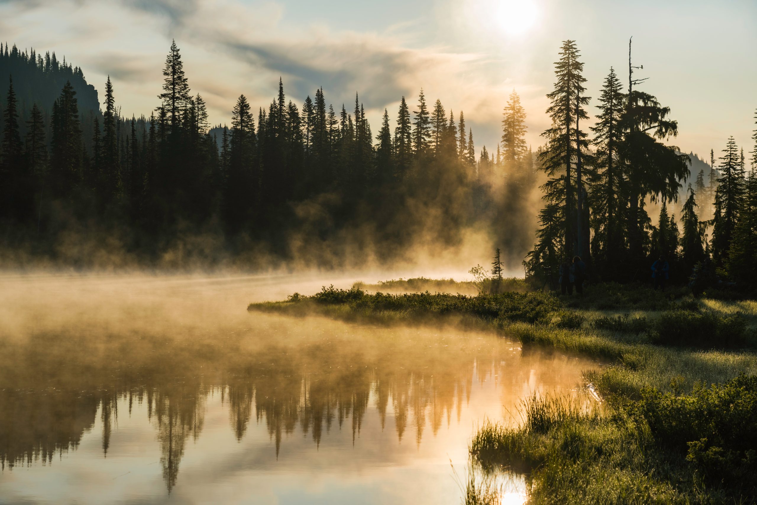 Flera lager i landskapet.