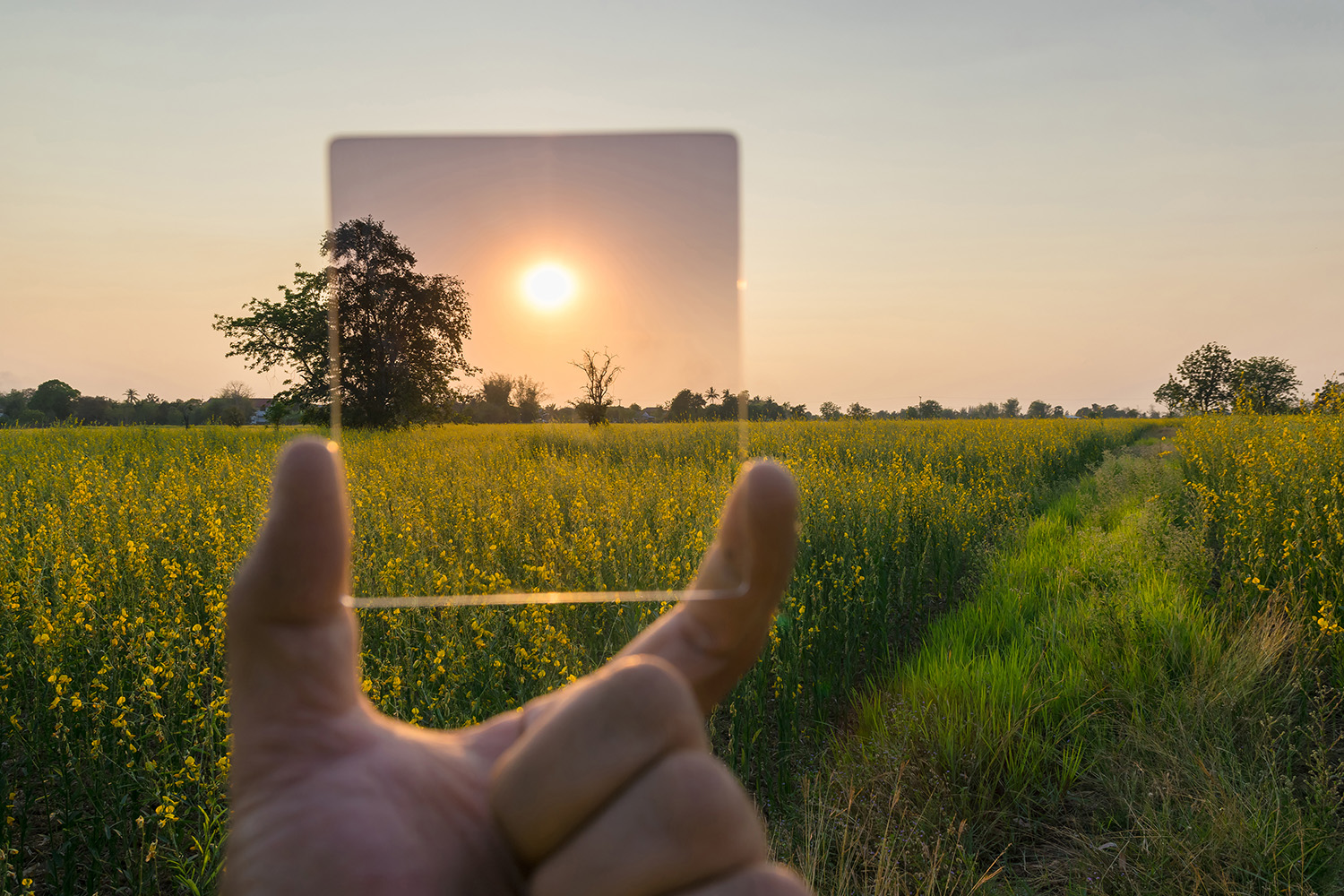 Filter framför landskap