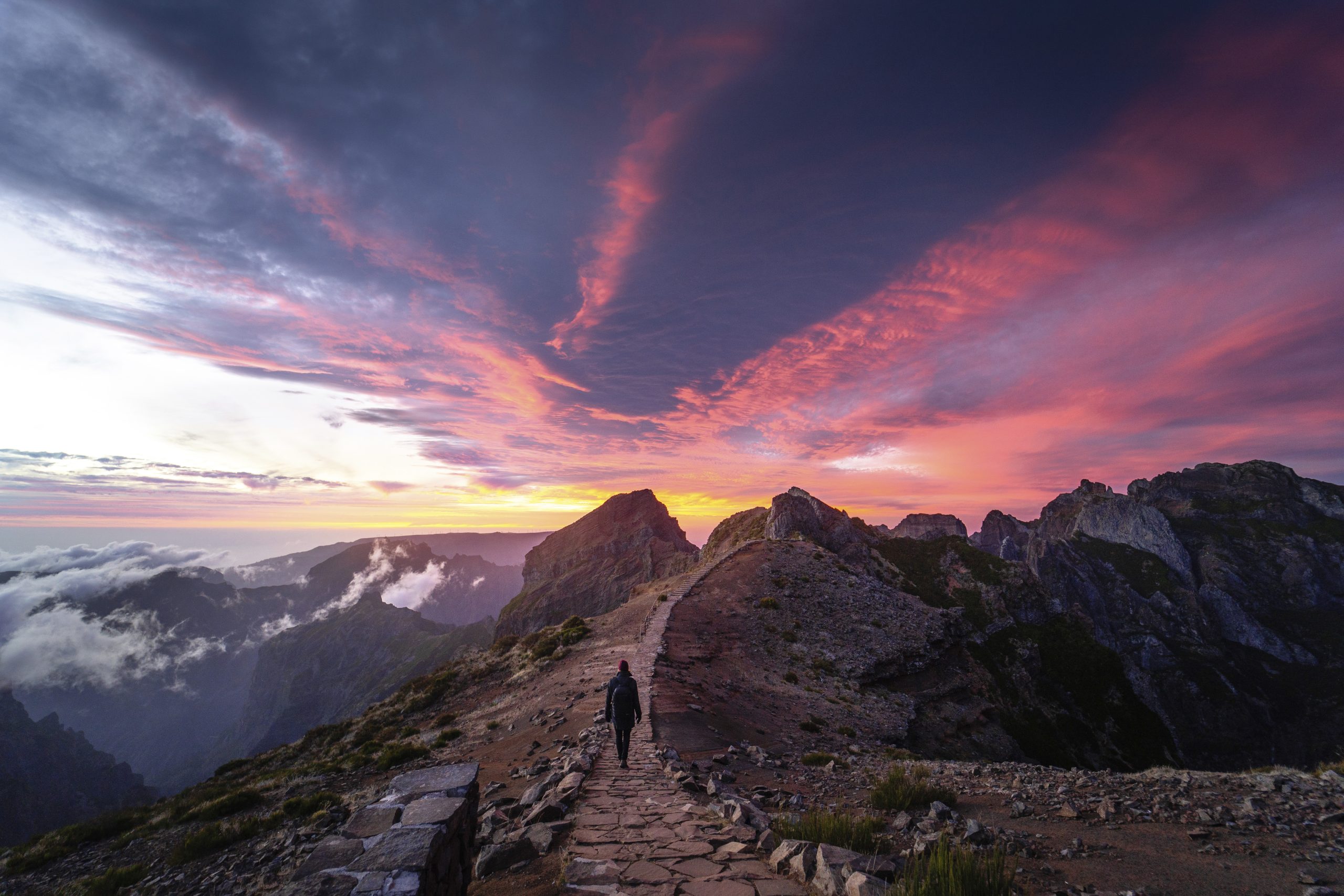 Tommy och David Jervidal