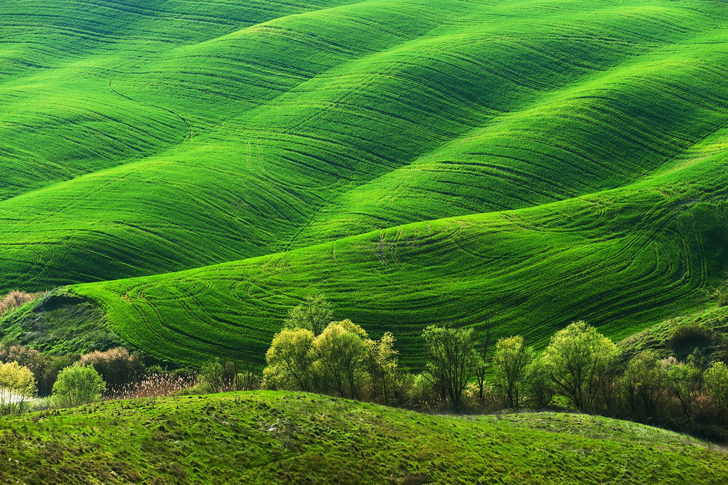 Vehreitä kukkuloita maisemakuvan keskialalla ja taustalla