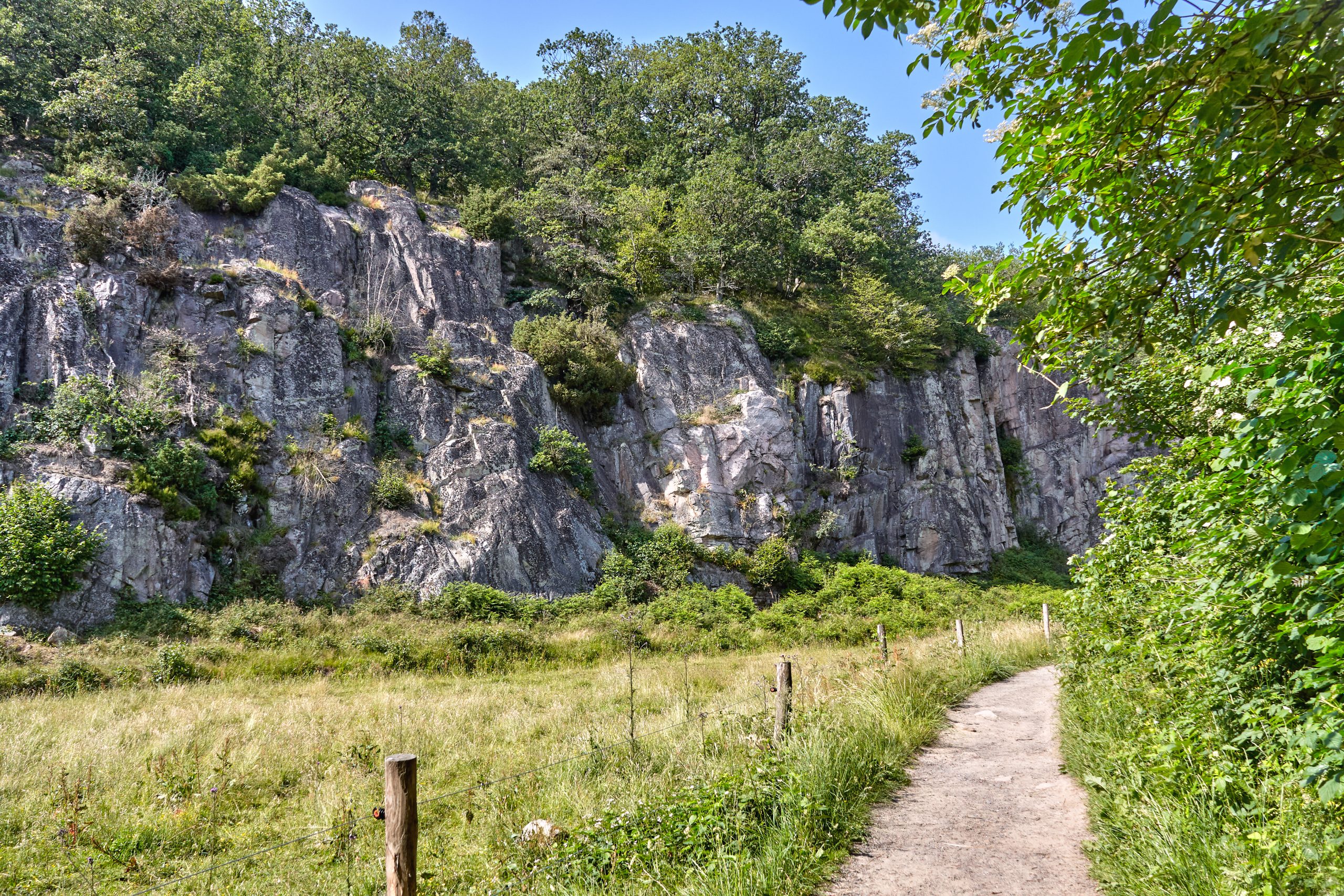 Almindingen på Bornholm.