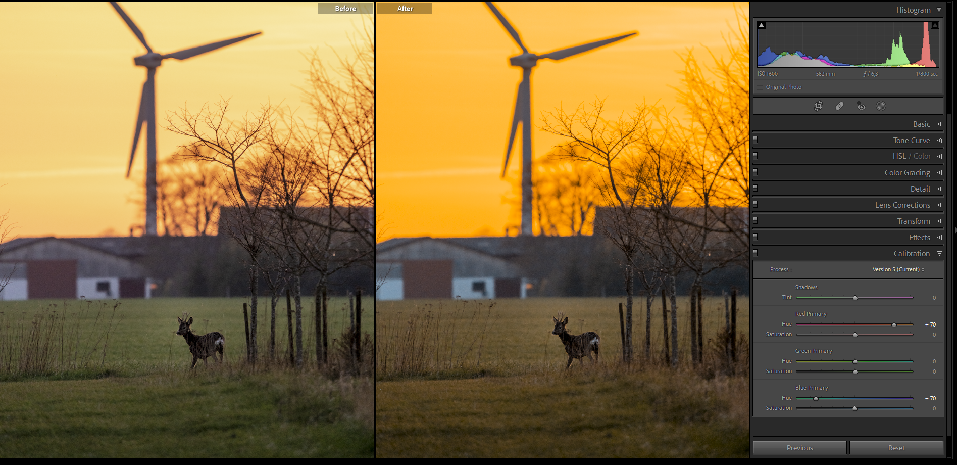 Kuvankäsittelyllä muokattu kuva kauriista