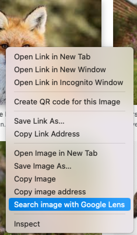 Vi utfører et Google Lens-søk.