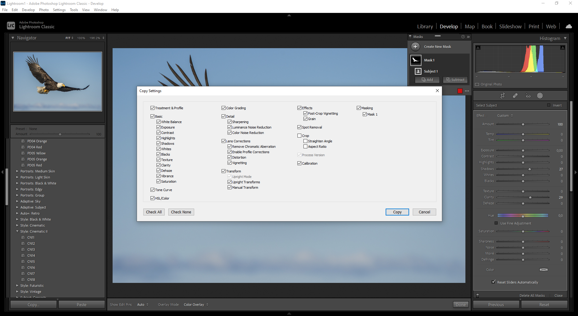 Näyttökuva maskien kopioinnista Lightroom-kuvankäsittelyohjelmassa