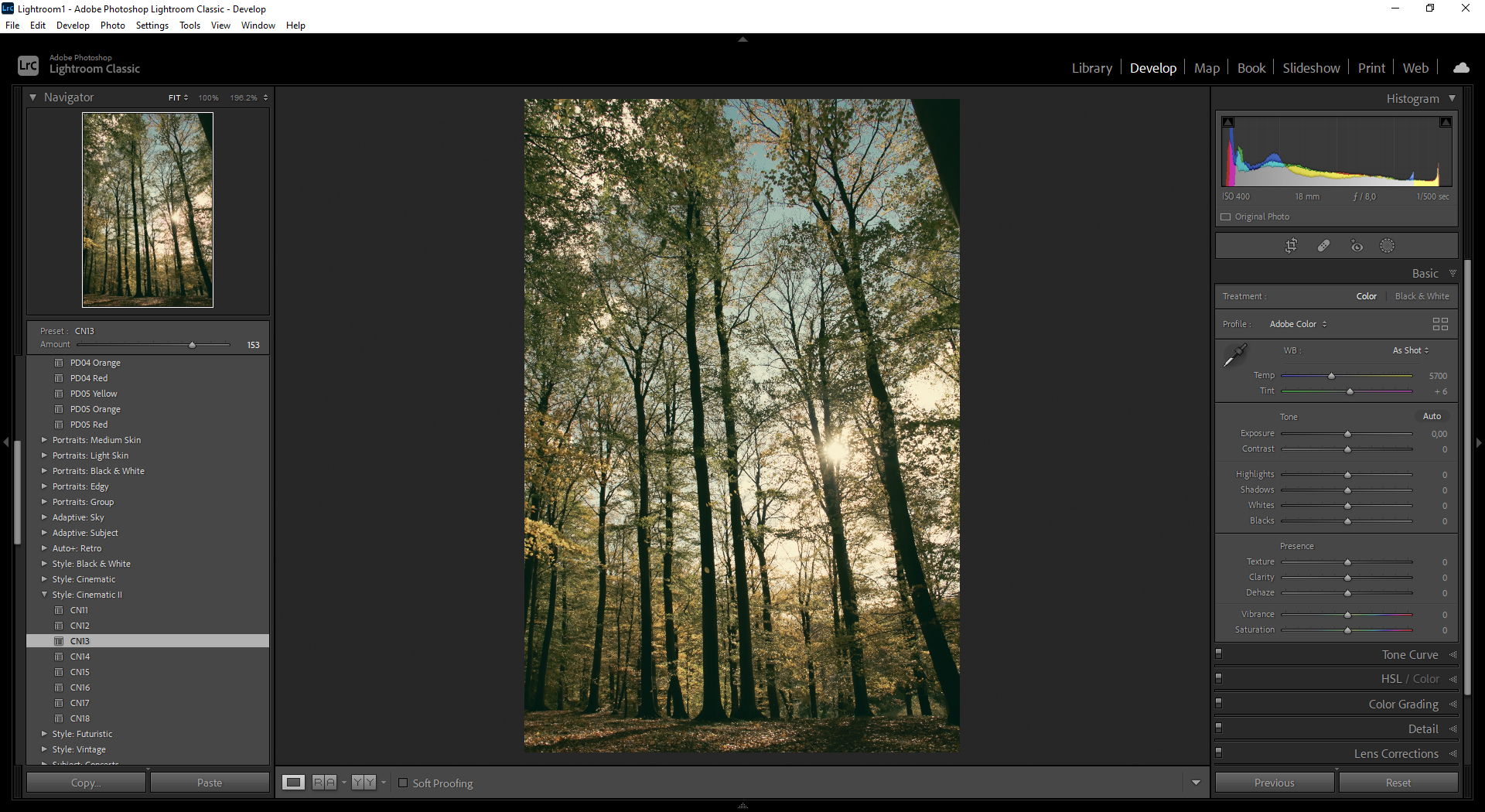 Skærmskud viser nye skydeknap i Lightroom