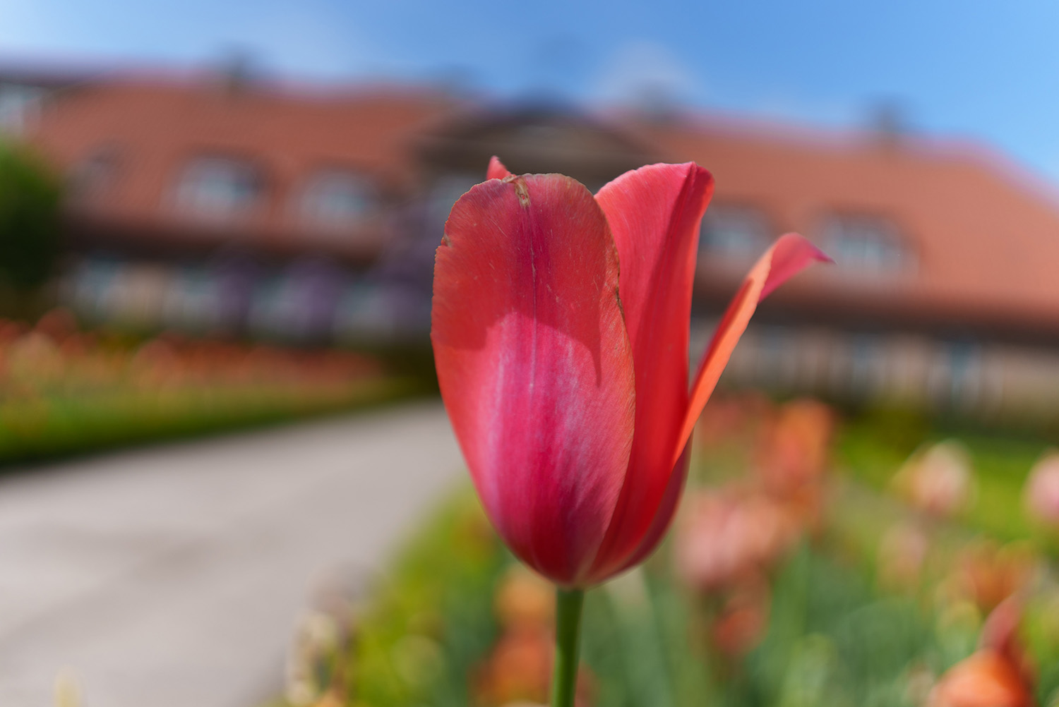 Billede taget på F2.0