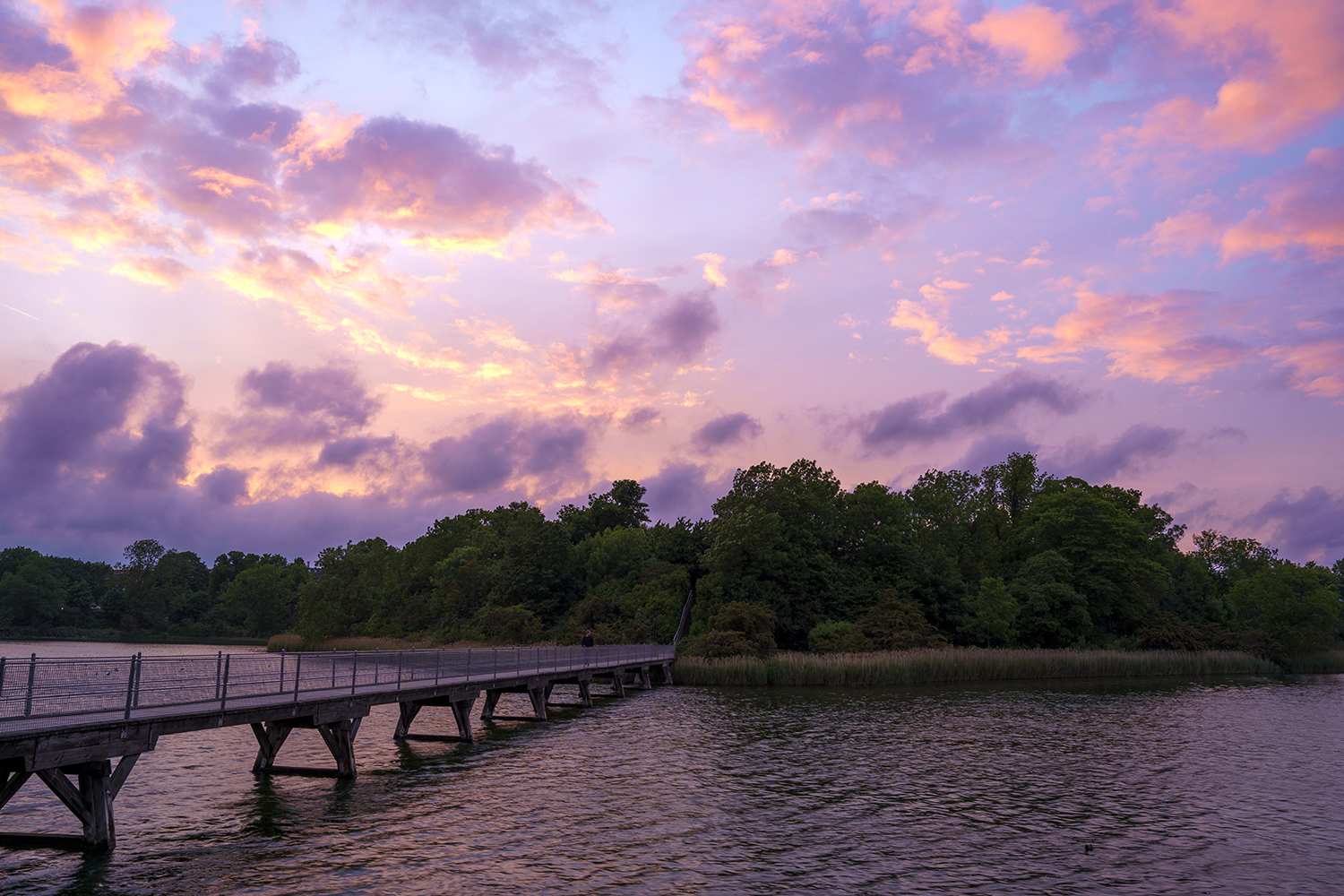 Bro over vann til skog i solnedgang