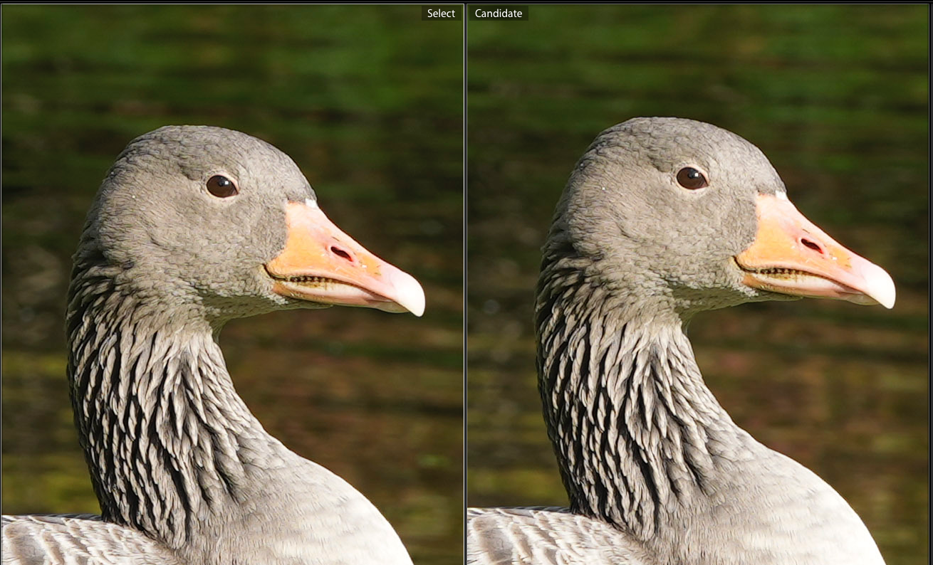 Jämförelsefunktion i Lightroom