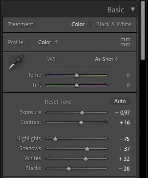 Panelet Basic i Lightroom