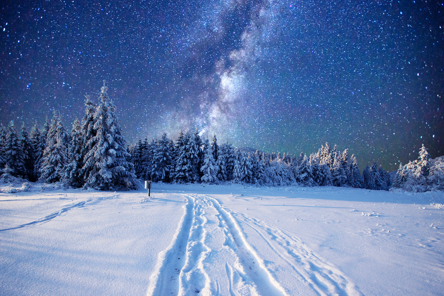 Vintergatan över vinterlandskap.