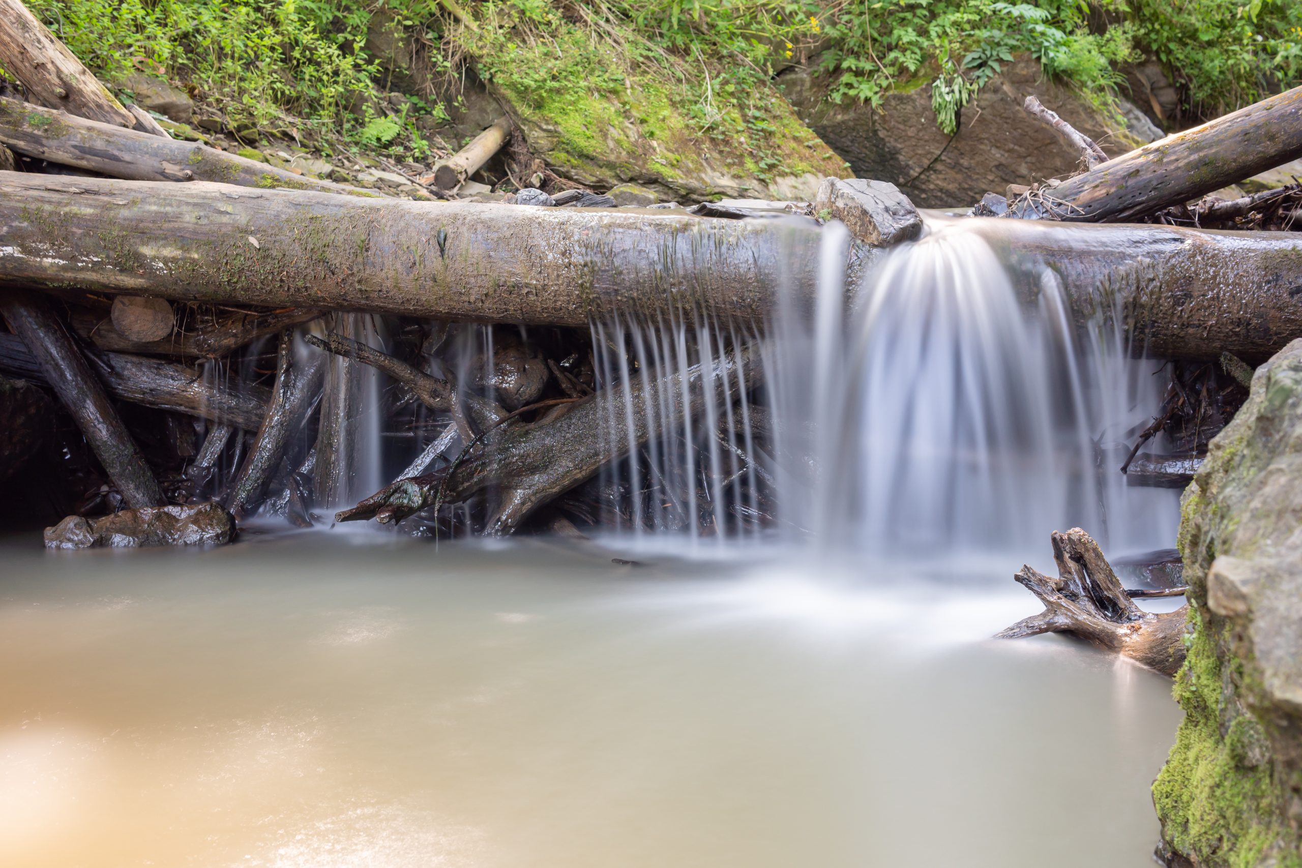Vesi virtaa puunrungon yli