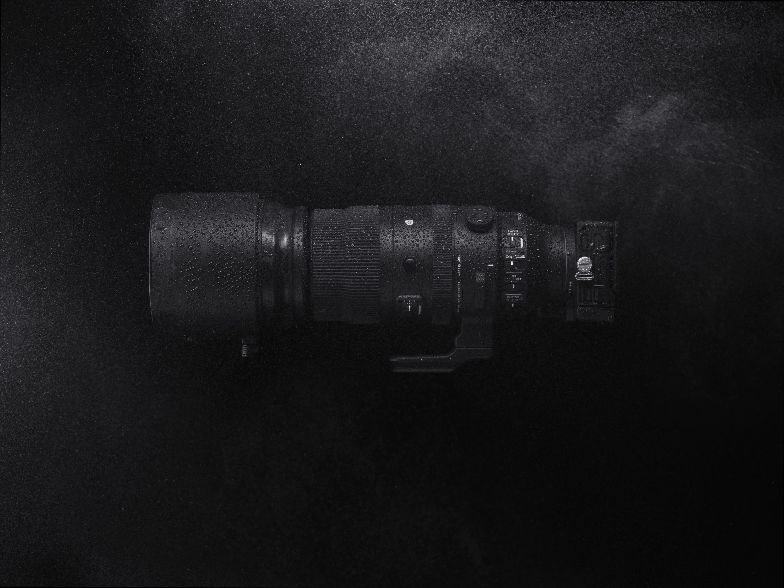 Sigma 150-600 mm F5-6.3 DG DN OS | Sports