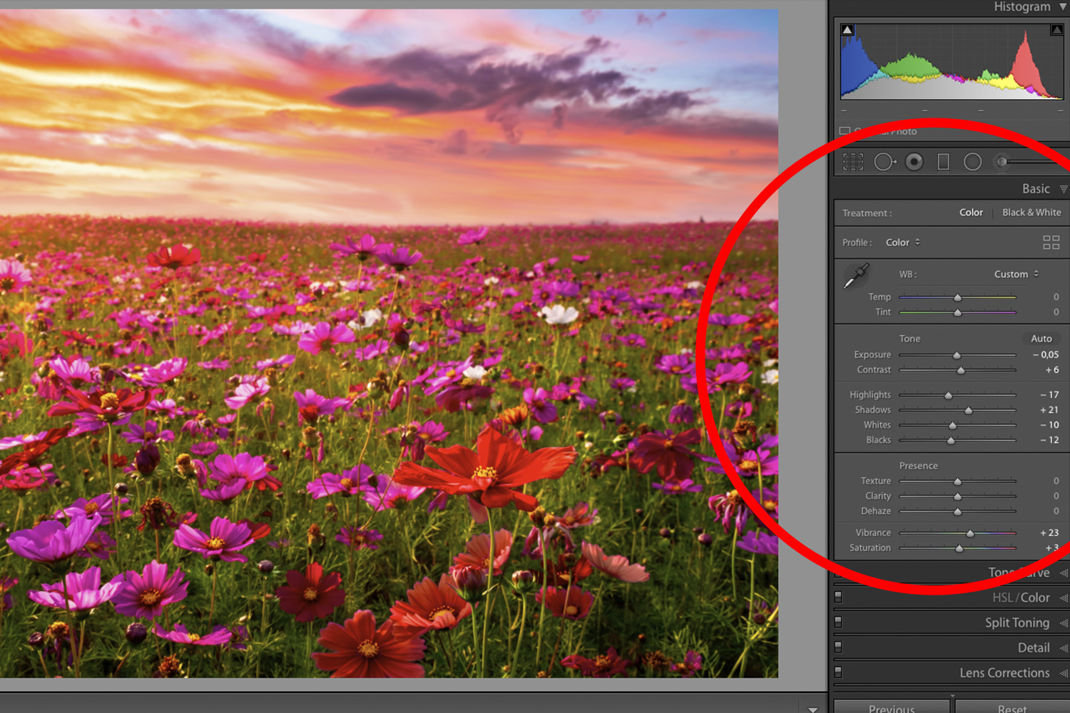 Lightroom redigeringspanel