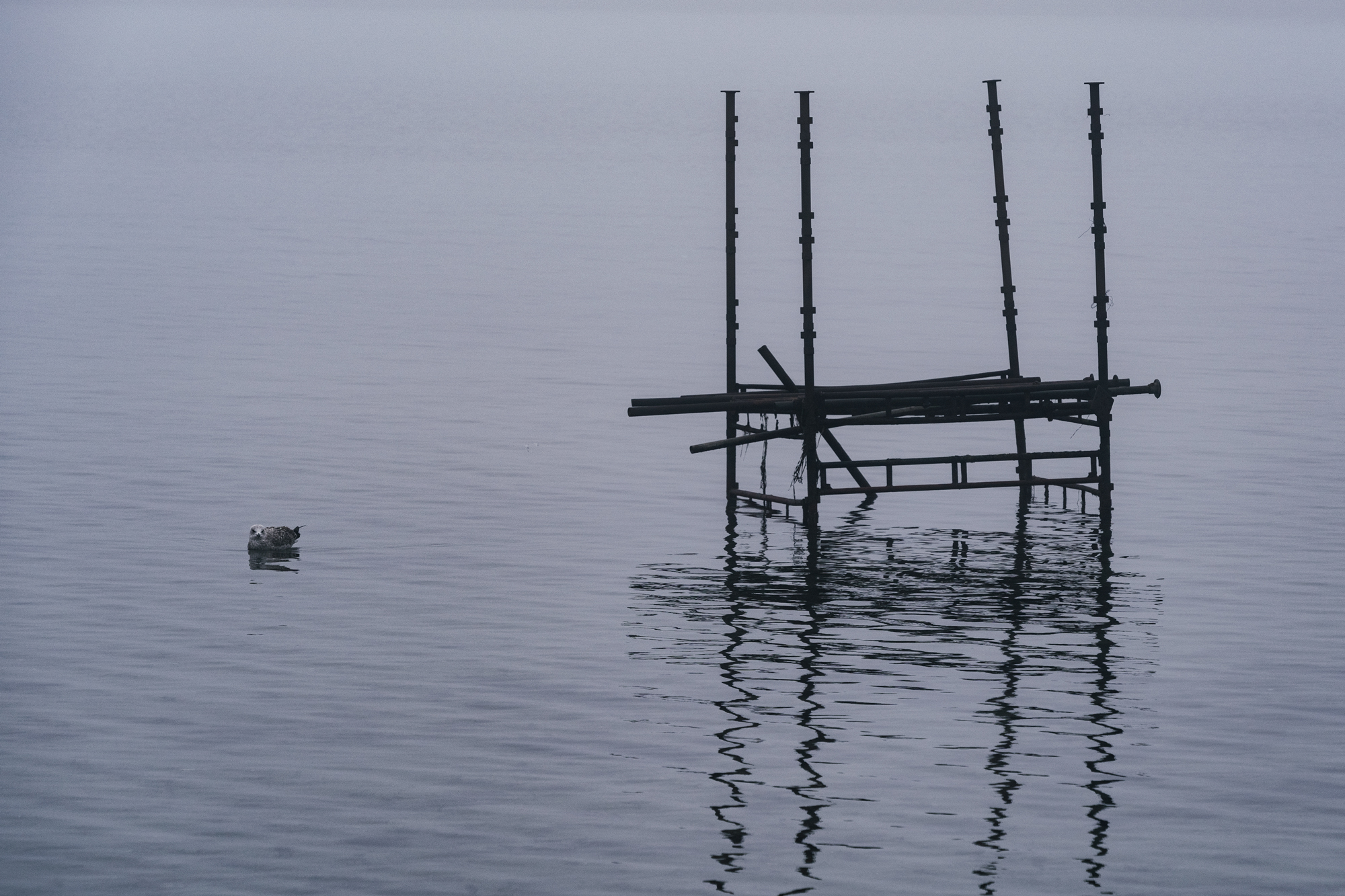 Enkelt landskapsbilde uten himmel