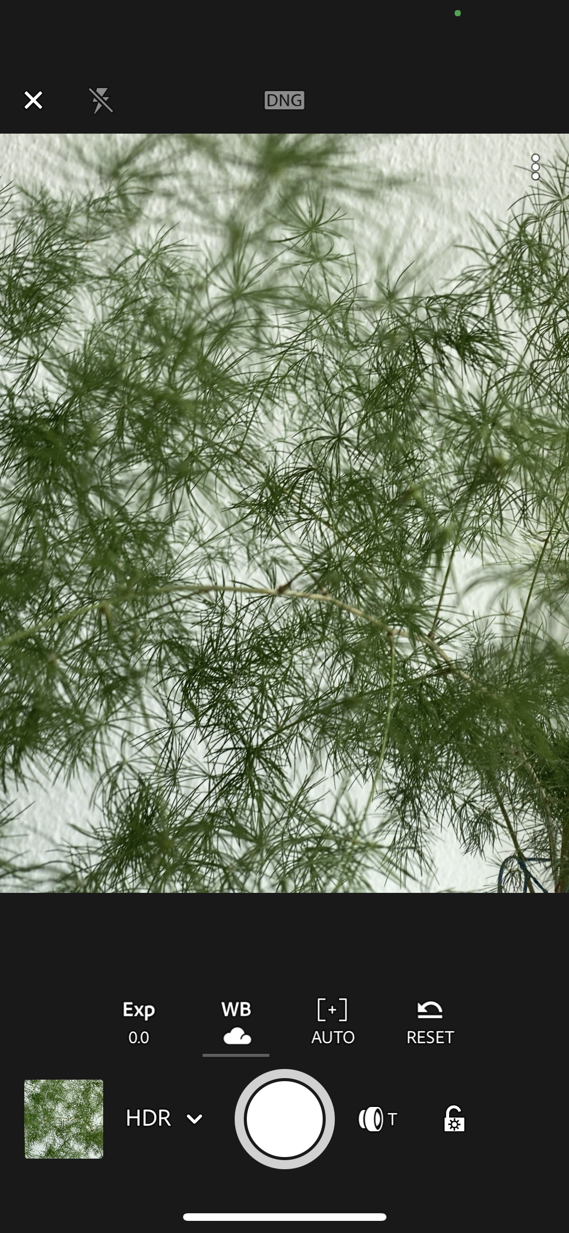 Skærmskud af Lightroom app