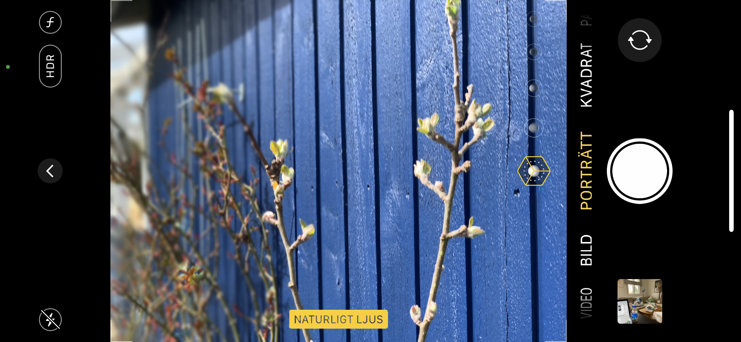 Iphone-skärm med porträttfunktion