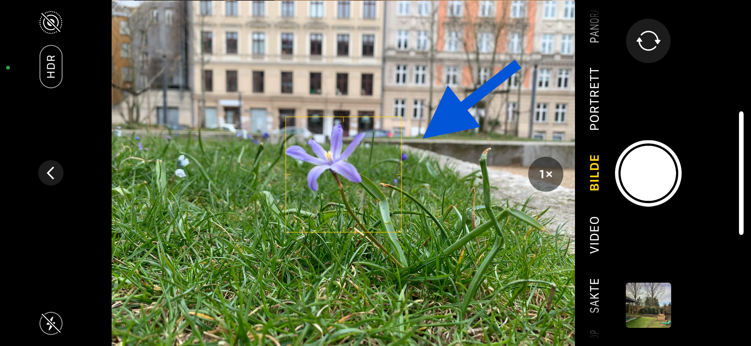 Iphone-skjerm med blomst i fokus