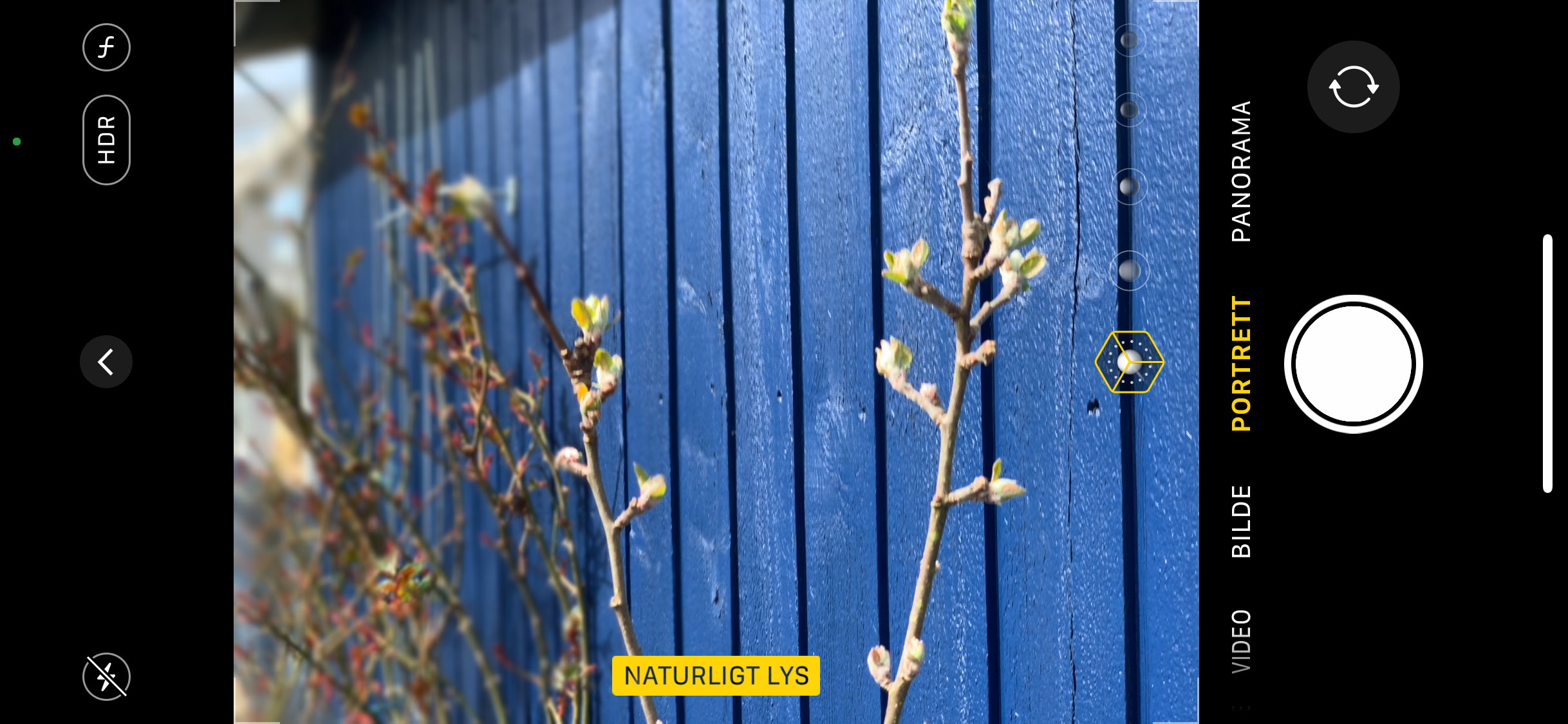 Iphone-skjerm med portrettfunksjon