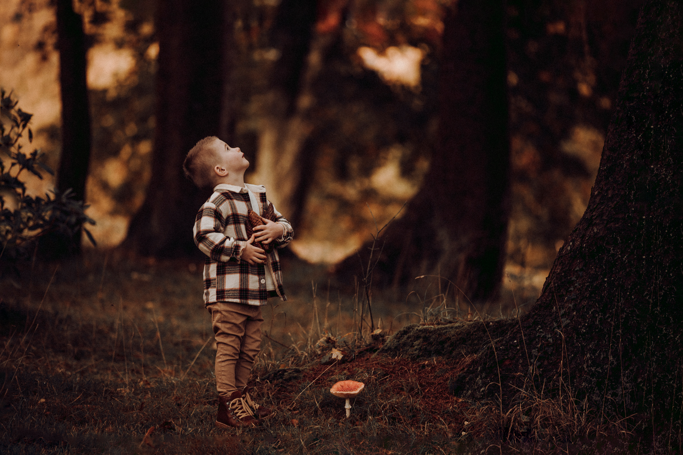 muotokuva pikkupoika ruutupaita metsä