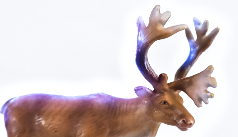 Liian voimakas taustavalaistus pilaa kuvan.