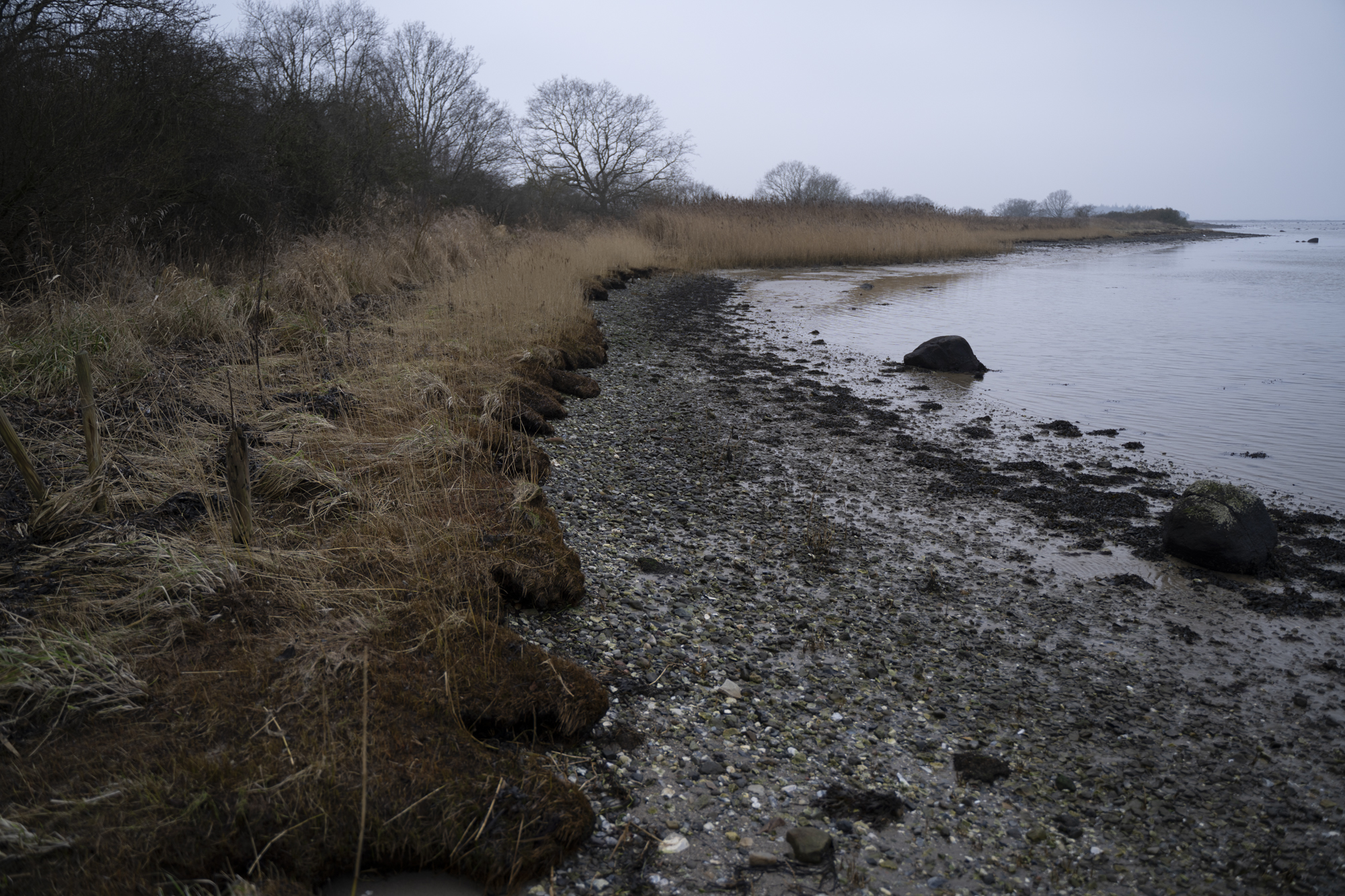Strandkant med grå himmel