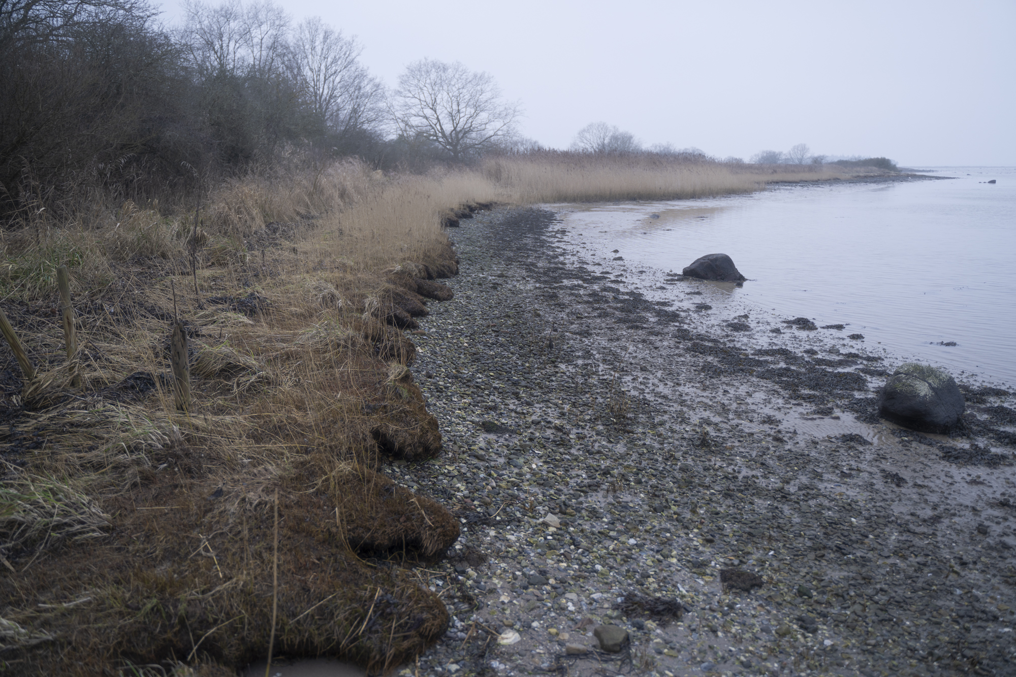 Kyststrekning med grå himmel og dis