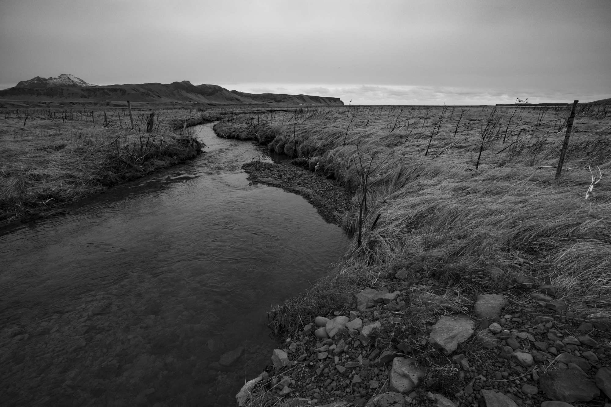 Landskab i sort/hvid med kontrast