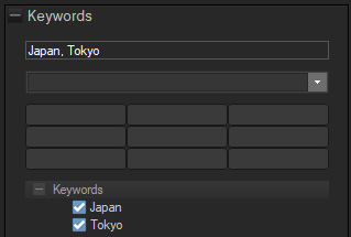Keywords ACDSee Photo Studio