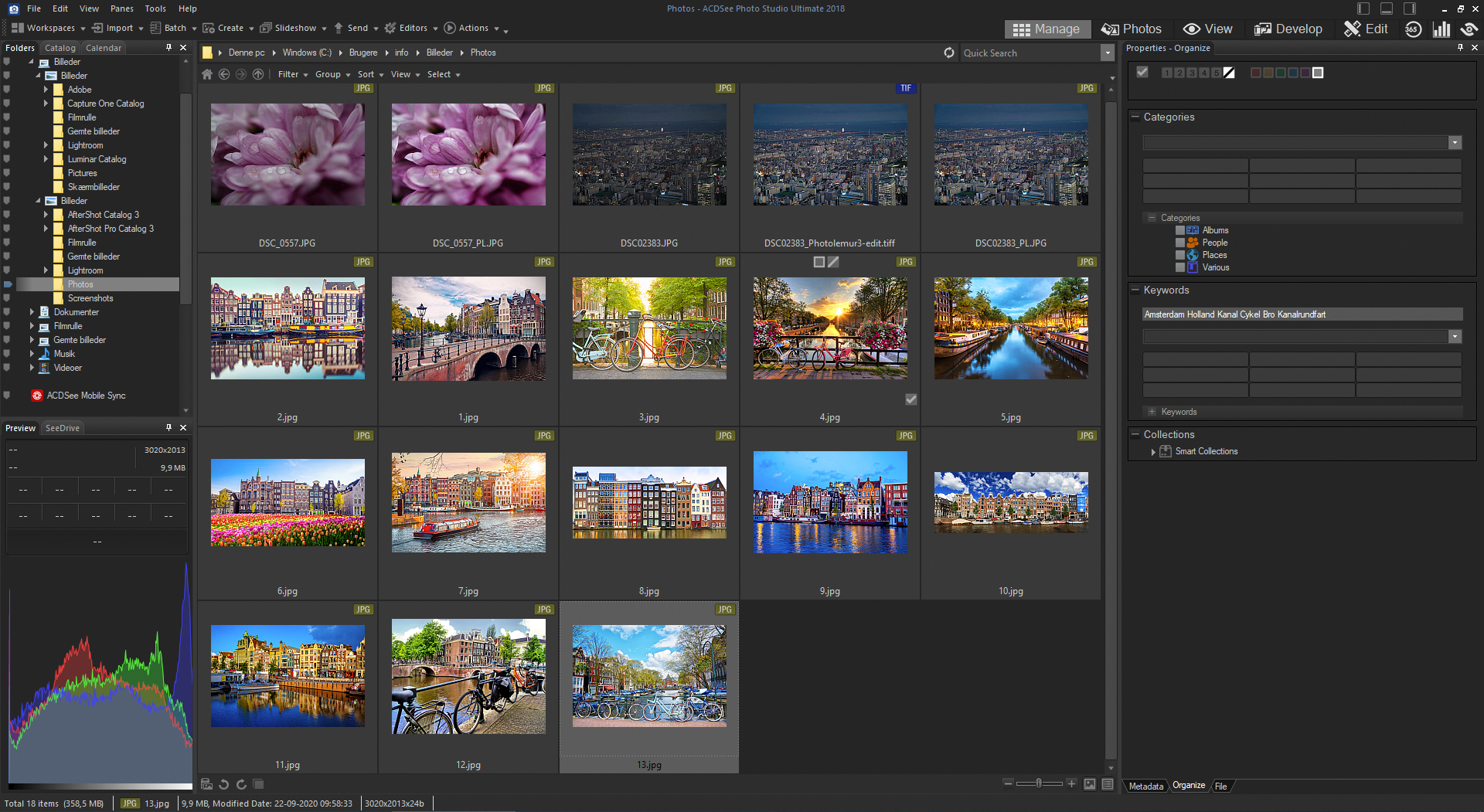 Screenshot af ACDSee Manage-mode