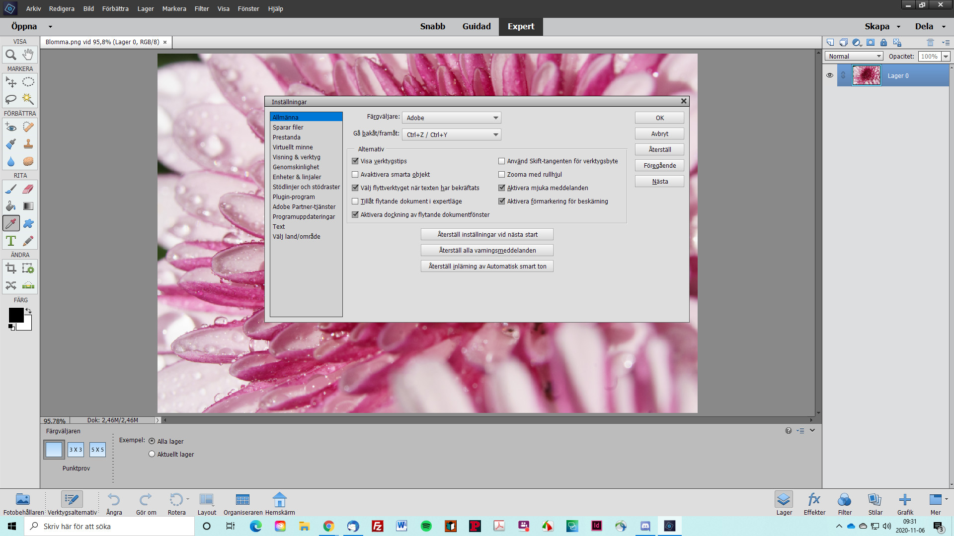 Dialogrutan Inställningar i Photoshop Elements 