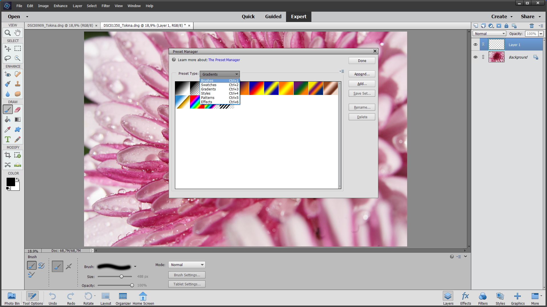 Preset Manager Photoshop Elements