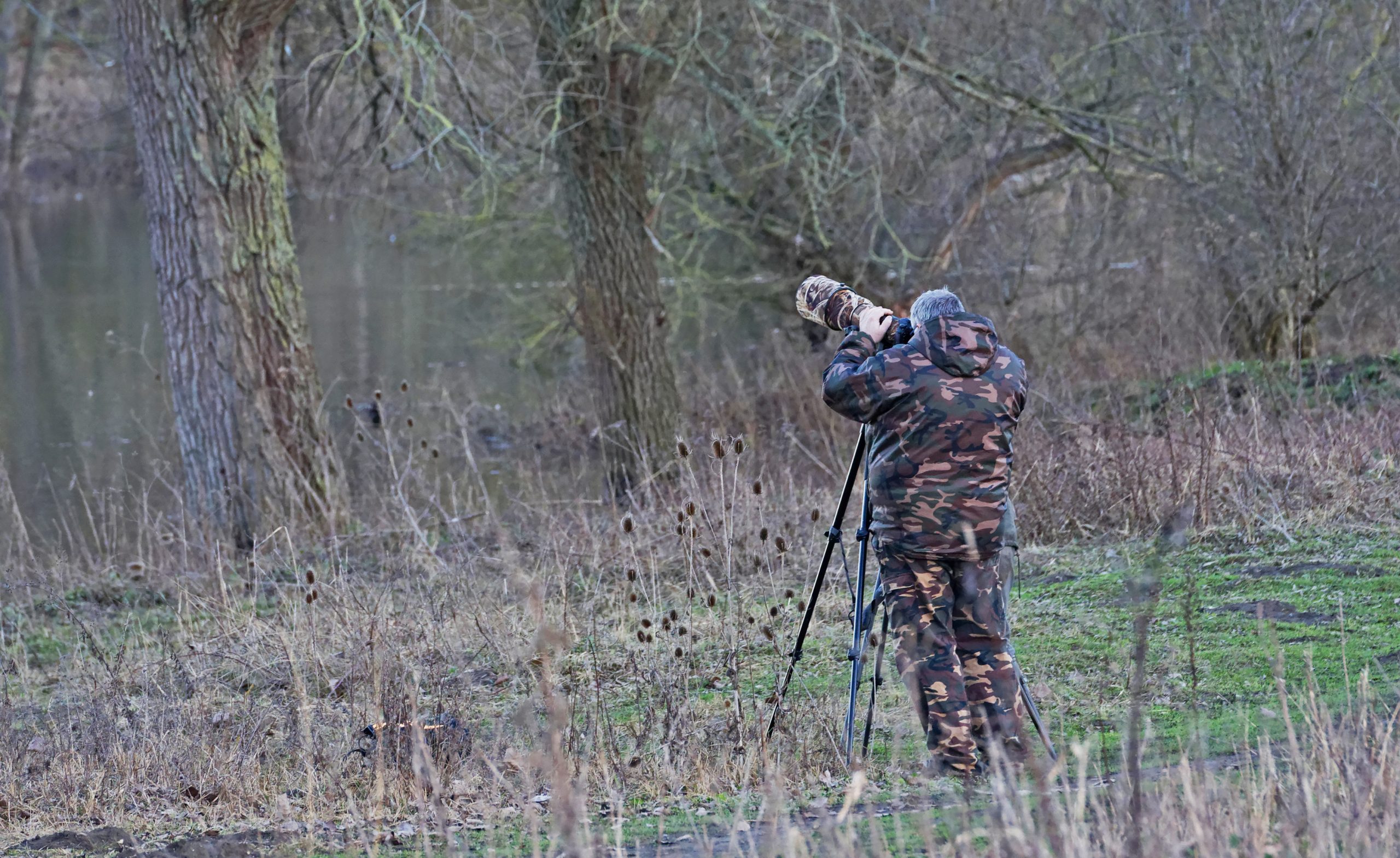 3 helposti kuvattavaa talvilintua