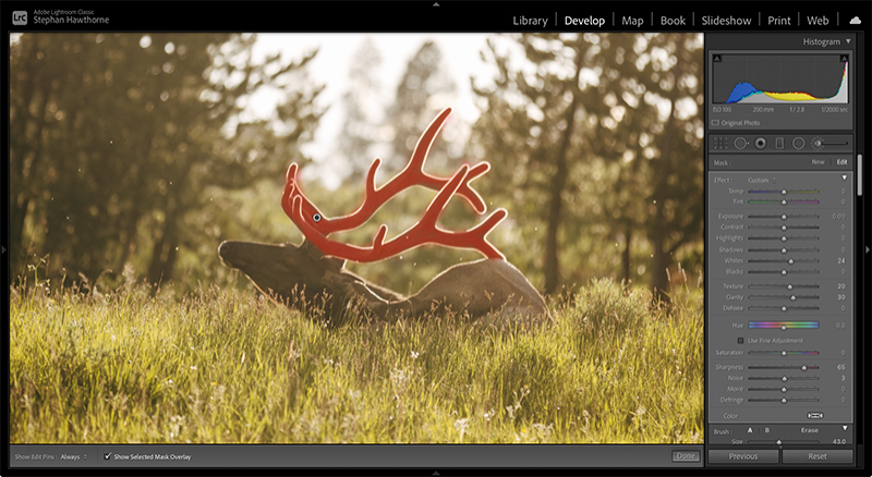 Adobe Lightroom Classic