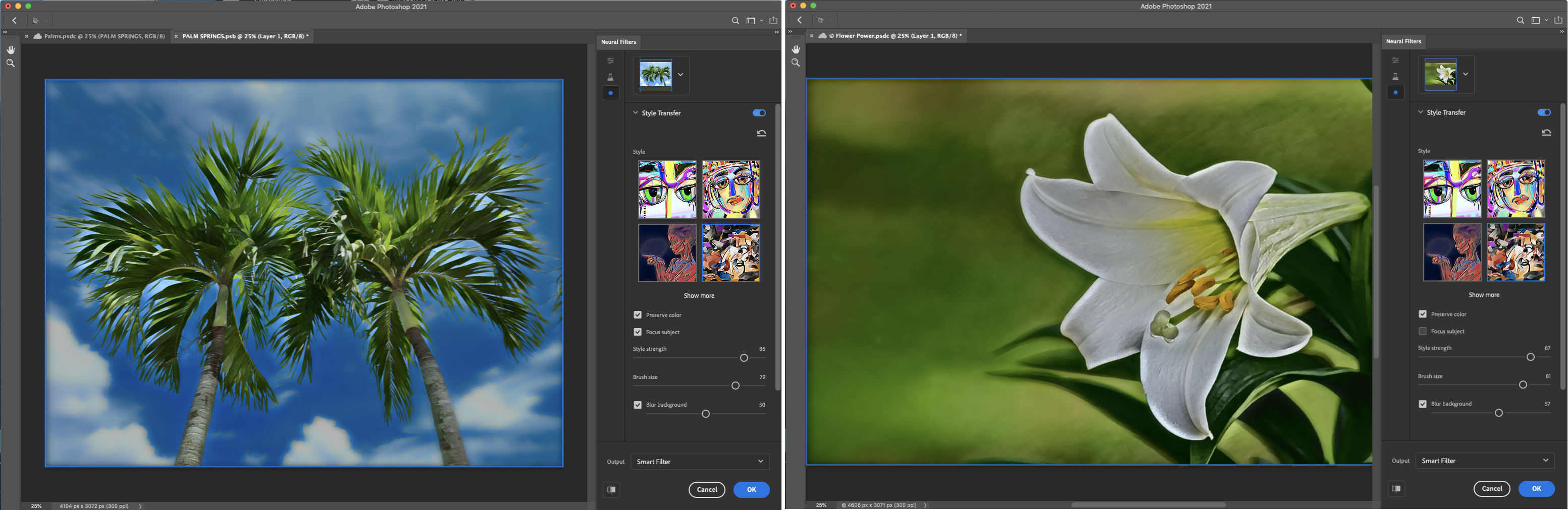 Adobe Photoshop 2021