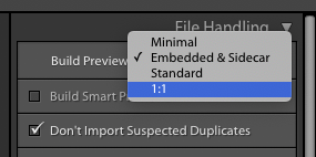 File handling Lightroom