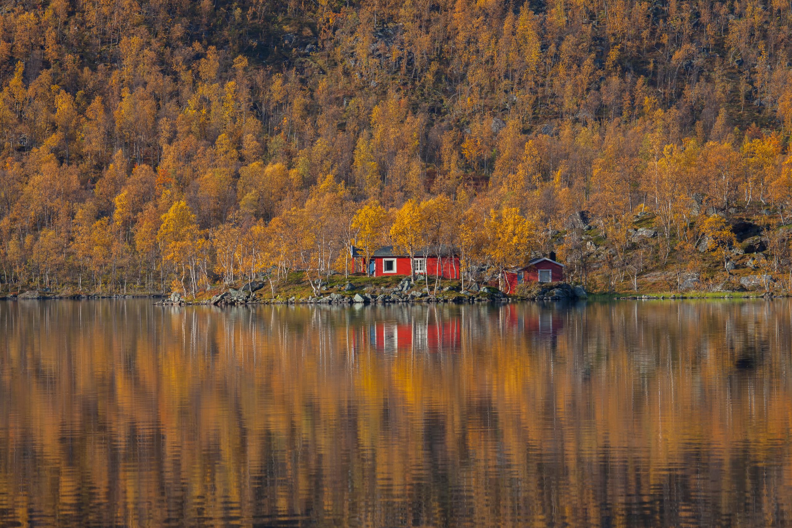 Ta vackra och annorlunda bilder av hösten