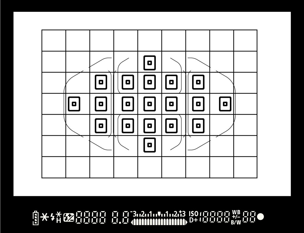 Fokuspunkter til fuglefotografering