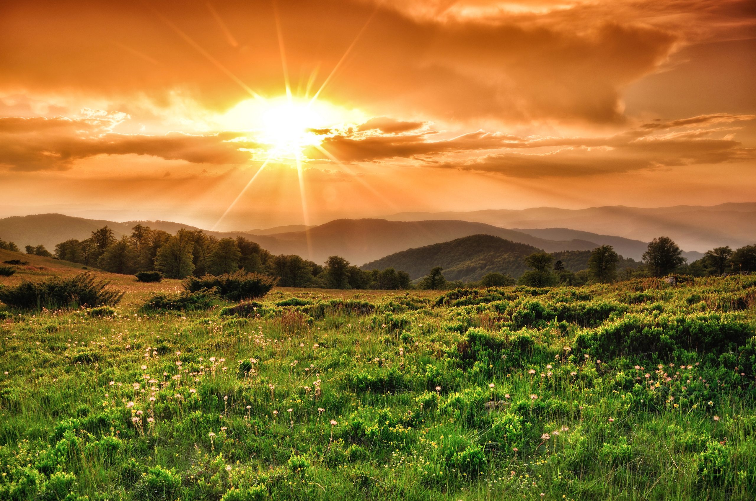 4 vägar till annorlunda landskapsbilder