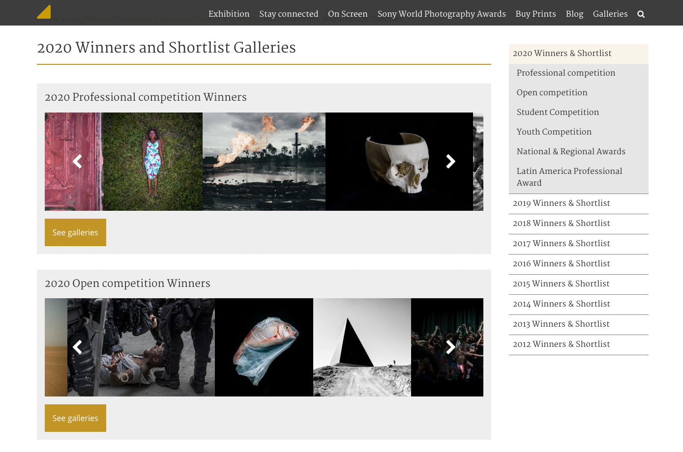 Skjermbilde fra www.worldphoto.org
