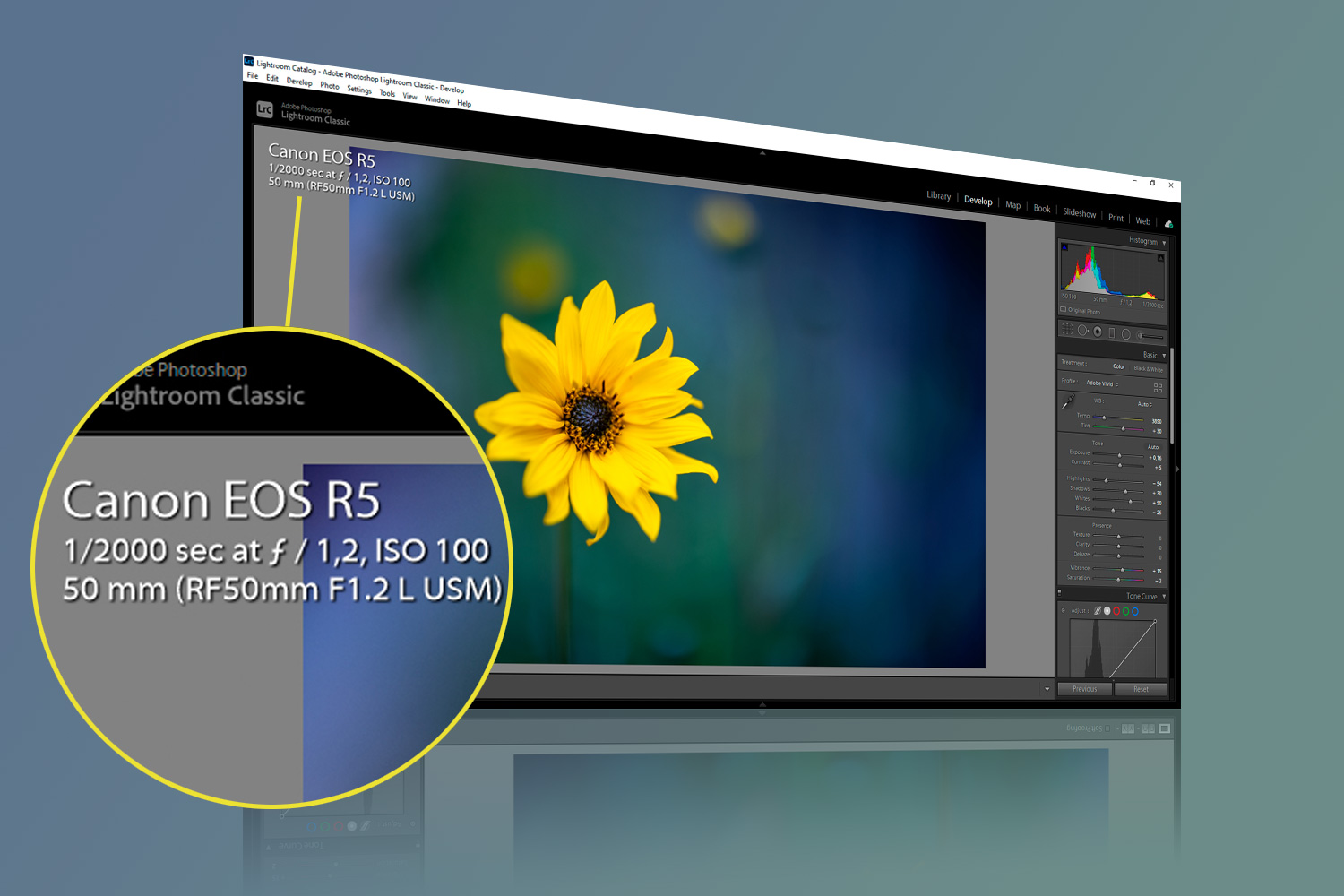 Lightroom August 2020 update