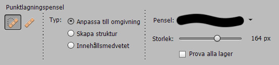 Punktlagningspensel i Photoshop Elements.