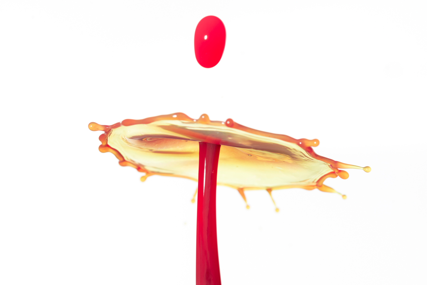 Rød vanndråpe fotografert mot en hvit bakgrunn.