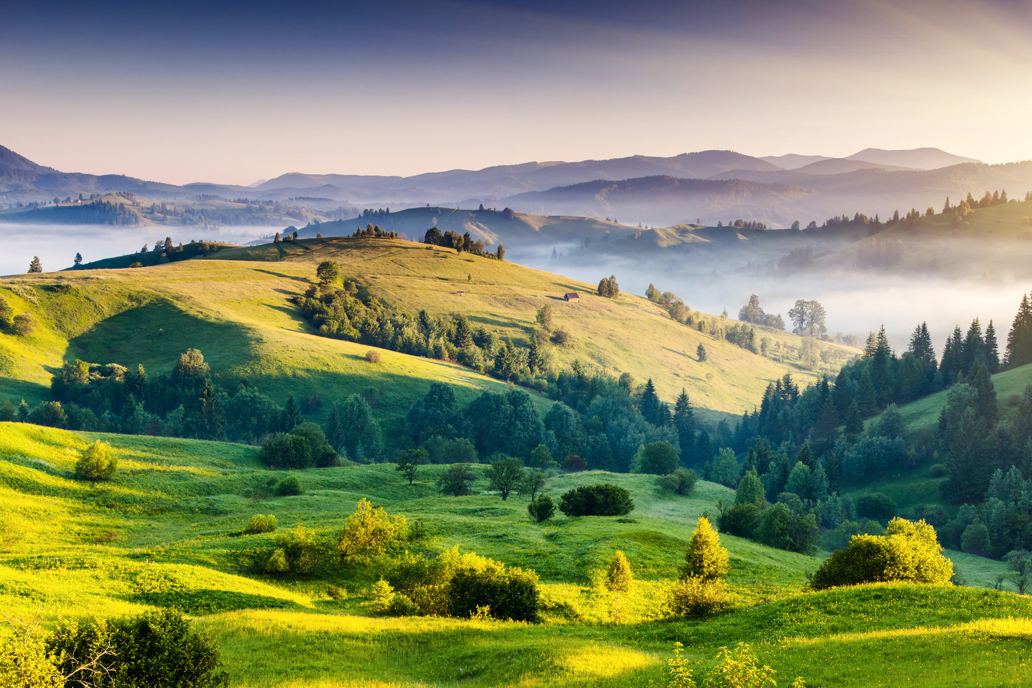 Landskap der alt er i fokusområdet
