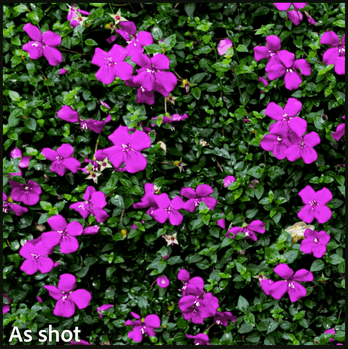 Justering med Hue i Lightroom