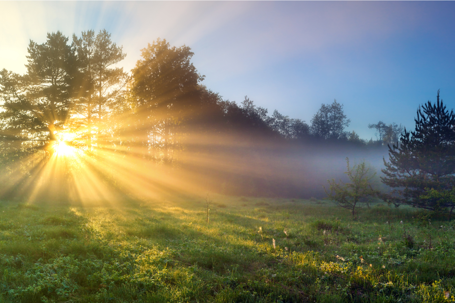 Kauniit auringonsäteet heijastuvat sumun läpi. 
