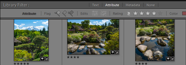Library Filter Lightroom