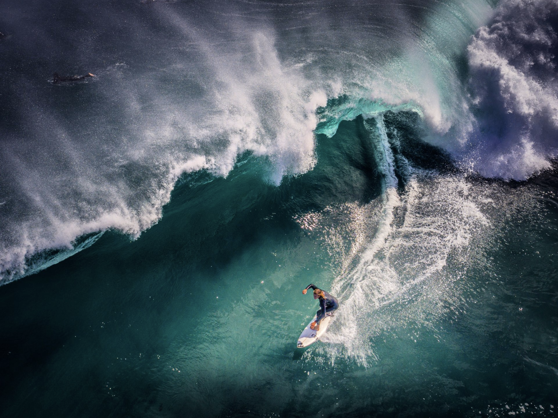 Surfer ved Australiens kyst