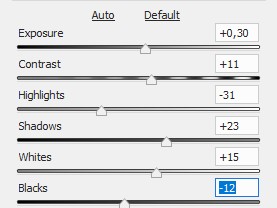 Valoisuussäätimet Camera Raw Elements.